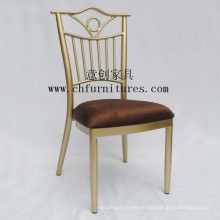 Luxurious Banquet Chair Furniture (YC-B102)